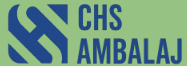 CHS